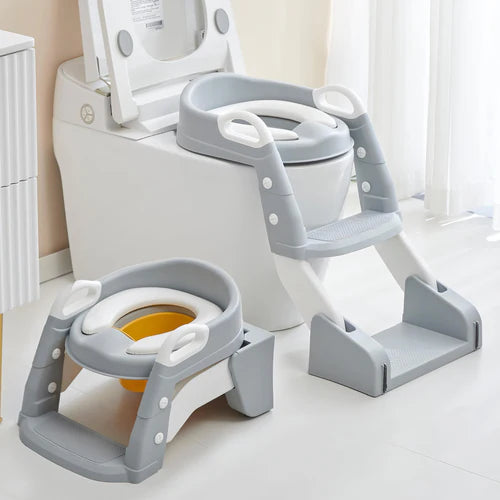 2-in-1 Baby Potty Training Seat