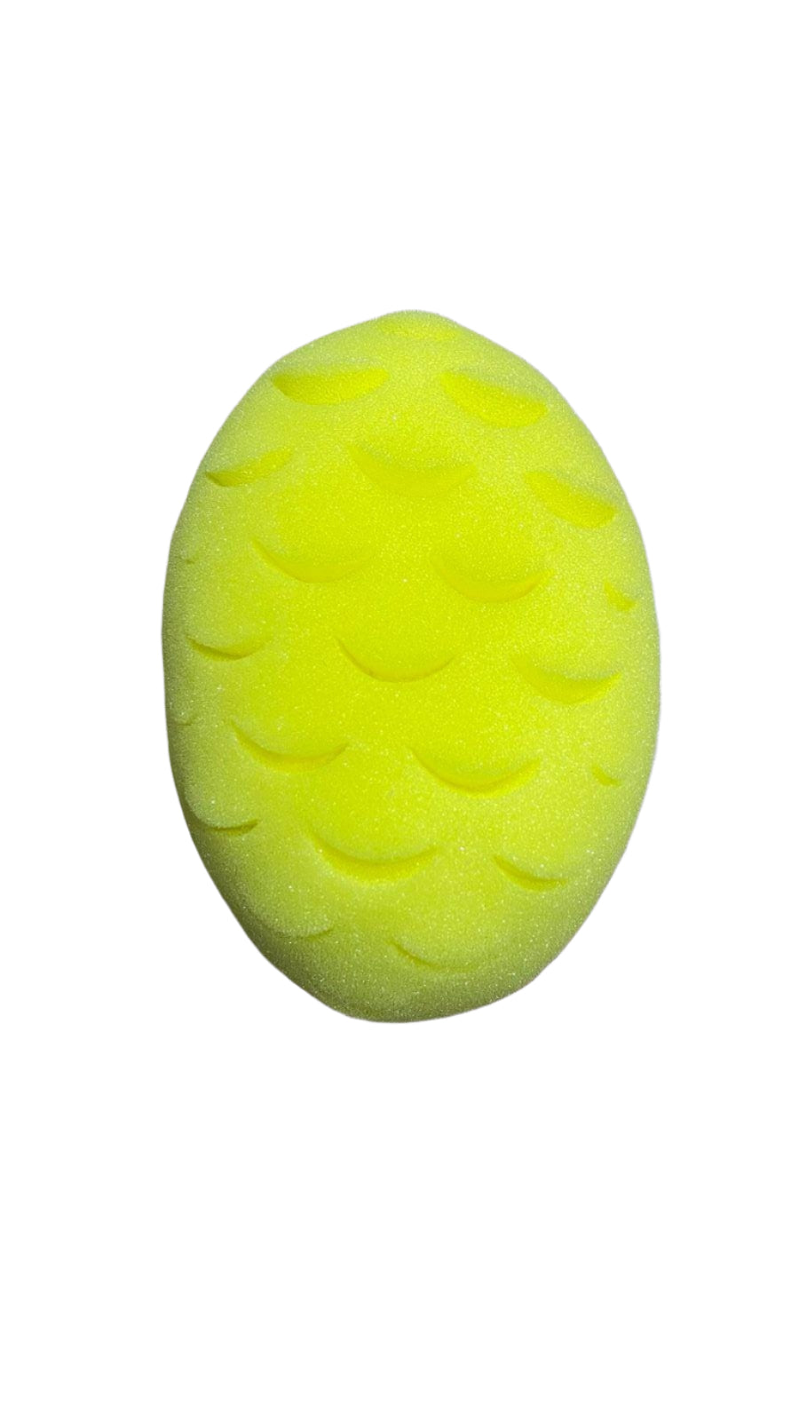 Safari Baby & Toddler Bath Sponge / Soft(S66)