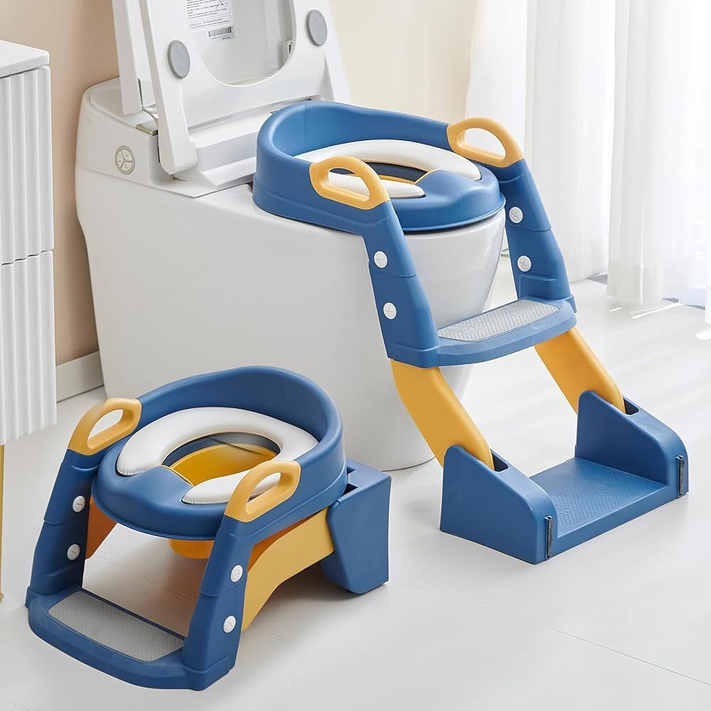 2-in-1 Baby Potty Training Seat