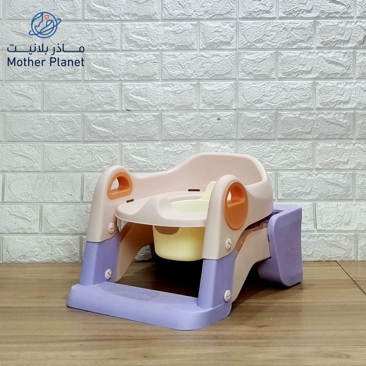 2-in-1 Baby Potty Training Seat