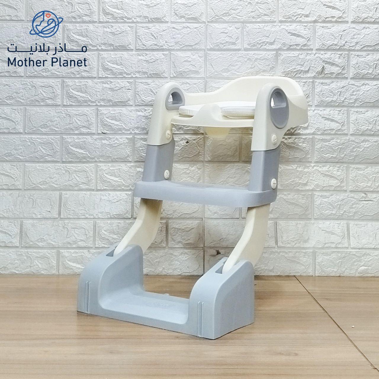 2-in-1 Baby Potty Training Seat